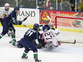 Owen Sound right winger Zach Nastasiuk scores the tying goal against Plymouth Whalers goalie Alex Nedeljkovic in the second period of their OHL Western Conference semifinal game in Plymouth, Michigan, on Sunday afternoon. Rena Laverty/The Plymouth Whalers.