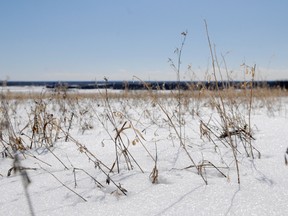 The snow pack in the Grande Prairie area is deeper than usual and recent temperatures are not helping the planting season for farmers, but it is nothing to be concerned about, says Alberta Agriculture. In some areas of the Peace, snow packs are at a 1-in-50-year depth. (Adam Jackson/Daily Herald-Tribune)