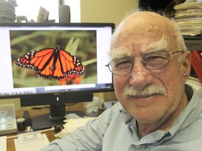 Queen's University's Dr. Barrie Frost and an international team have spent 10 years studying the migration of monarch butterflies and believe the insects have an internal compass that sends them to their home in Mexico each fall. (Michael Lea The Whig-Standard)