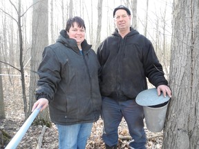 Kris and Mark Murray stand in between the new lines used to harvest sap to turn into maple syrup and the old bucket method the family is phasing out of production on their farm near Teeterville. (SARAH DOKTOR Delhi News-Record)