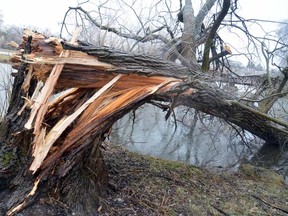 Storm damage