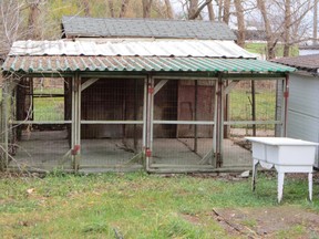 This was one of the dog pens the Hamilton-Burlington SPCA discovered when it raided a large kennel operation in Villa Nova Oct. 12, 2012. Three people face animal abuse charges as a result of the investigation. (MONTE SONNENBERG Simcoe Reformer)