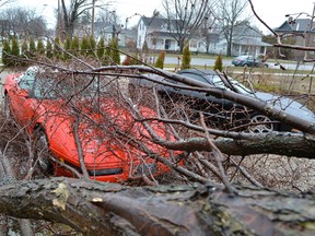 A fallen tree limb littered this ’93 Corvette with dozens of tree branches after some nasty weather Thursday/early Friday. Town staff was busy cleaning up the mess. Pictured here, last Friday, are the remnants of a tree at Essex Street and Elgin Avenue and a leaning hydro pole on Stanley Street.