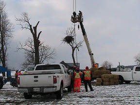 An altered logo in a YouTube videoof crews removing a bald eagle's nest at the site of a wind farm in Haldimand, Ont., is the subject of a cease and desist letter a Middlesex County anti-wind turbine activist has received from lawyers for NextEra Energy Canada. SUBMITTED PHOTO/ ONTARIO WIND RESISITANCE
