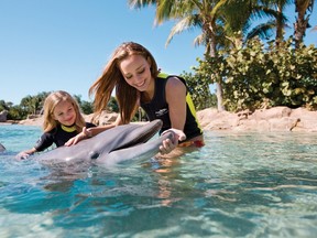 Guests at Discovery Cove in Orlando, Fla., get to interact with, and even ride, a dolphin as part of its exotic offerings. Trainers help guests to pet and play with the mammals, learning about how they are trained and housed at Discovery Cove, part of Sea World. (Special to QMI Agency)