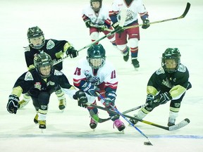 STEVE RICE The Beacon Herald
Haden Frayne (15) of the Stratford Hockey Training Above Tier 3 novices rushes up ice with members of the West London Hawks in hot pursuit during an Alliance MD Championship tournament game at the Allman Arena Saturday afternoon. West London won 5-1.