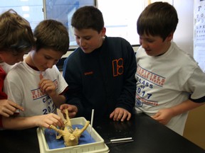 Jordan Jasmin, left, Tony Saudino, Donavan Trudel and Ethan Porter, Grade 8 students at Phelps Public School, examine a fetal pig in one of the science labs at Widdifield Secondary School, Wednesday. Grade 8 students across the Near North District School Board were visiting high schools on Discovery Day to get an idea what they can expect in September.