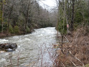 The Sydenham River near Owen Sound. (ROB GOWAN The Sun Times)