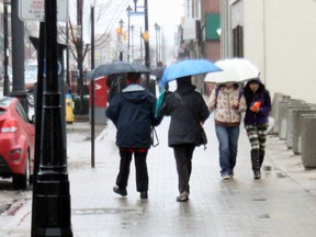 Rainy weather Thursday, April 18, 2013, brought the umbrellas out in force in downtown North Bay. A rainfall warning was in effect throughout Thursday, and the rain is expected to continue today, before turning to snow — yes, snow — Saturday.