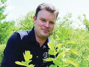 Tim Beaubiah, a biologist with the Cataraqui Region Conservation Authority, checks out some of the wild parsnip growing in Little Cataraqui Creek Conservation Area. Wild parsnip, which are spreading throughout the area, contain a chemical compound that can cause severe burn blisters when activated by sunlight.
QMI AGENCY