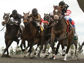 It may have been cold outside yesterday, but the action is just starting to heat up for the season at Woodbine Racetrack. (Michael Burns/photo)