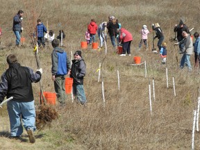 VINCENT BALL, The Expositor

Hundreds of people help Sunday to create a "new forest in the city."