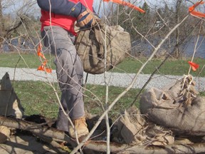Frank Woodcock of Simcoe, a member of the Waterford rail trail committee, was among 40 volunteers who helped plant trees along the trail on Saturday morning. (MONTE SONNENBERG Simcoe Reformer)
