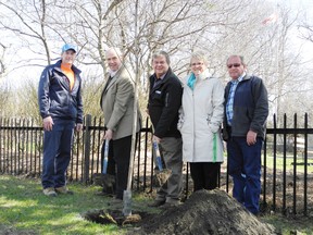 City staff planted a sugar maple tree on Bedford Avenue on Monday to mark Earth Day. From left are horticulturist Wayne Lauzon, Mayor Bob Kilger, general manager of parks and recreation Stephen Alexander, division manager Christine Lefebvre, and parks staff Wayne Potter.
Staff photo/CHERYL BRINK