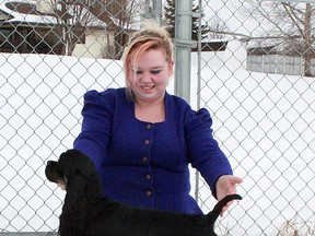 Topr right: Natasha Perry-Amyot stacks her American Cocker Spaniel, Keeper at the dog run in Rotary Park. To stack is to pose the dog in order to highlight the breed’s best features.