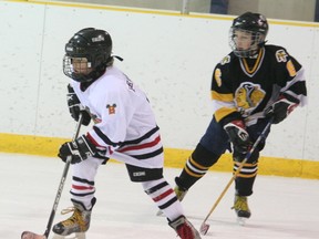 Minor hockey action inside the Ken Nichol Regional Recreation Arena has been stretched to its limits this past season as BAHA continues to increase in members. FILE PHOTO