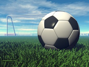 Soccer ball and net