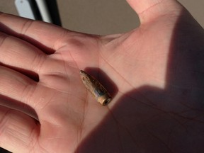 Parkland County residents Darren and Natasha DeGeer watched RCMP pull this bullet out of the side of their house in 2013. Now, they are suing Parkland County and the nearby Spruce Grove Gun Range, saying both organizations failed to address safety and noise concerns. - Photo Submitted