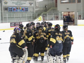 The North Bay Ice Boltz celebrate their win.