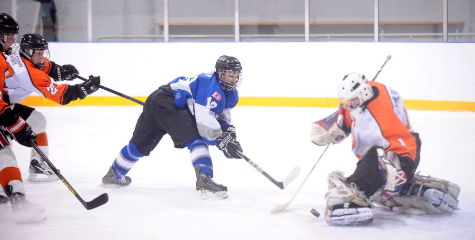 Tavistock Braves Hockey Club