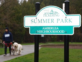Pet owners like Michael Cernigliaro, seen here walking his pooches Sadie (left) and Jack, are feeling a little uneasy after learning Monday, April 29, 2013, that a severed dog's head was discovered in this park in their Pickering neighbourhood. (CHRIS DOUCETTE/TORONTO SUN)