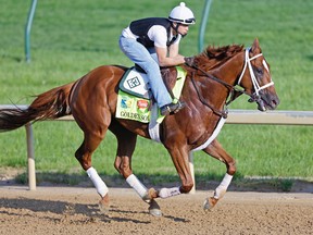 Golden Soul, one of two entries for diamond magnate Charles Fipke entered in Saturday’s running of the Kentucky Derby, trains on the track Wednesday at Churchill Downs. (Getty Images)