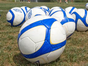 Soccer ball and net