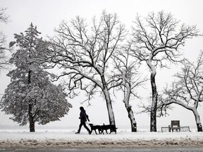 A woman walks two dogs around Lake Harriet after more than six inches of snow fell overnight in Minneapolis in this April 11, 2013 file photo. (REUTERS/Eric Miller)