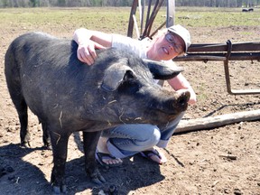 Greenbush-area farmer Barbara Schaefer is gearing up for a busy market season, supplemented by a list of clients who order meat annually as part of the province's Community Supported Agriculture network. NICK GARDINER The Recorder and Times