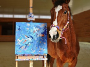 10-year-old thoroughbred Metro Meteor has taken up painting after retiring from racing. (PAINTEDBYMETRO.COM)