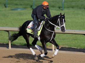 Black Onyx runs on the track during the morning training for the 2013 Kentucky Derby at Churchill Downs on May 2 in Louisville. (Getty Images/AFP)