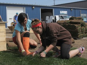 The Katarokwi Aboriginal School students Deitrea Holtz (left), 17, and Jennifer York, 14, lay sod in the hot sun Friday as a part of a backyard improvement project. Students cleaned debris, built gardens, laid grass and painted a large medicine wheel to provide a space for traditional smudging ceremonies. The project was made possible by a grant.
Danielle VandenBrink/The Whig-Standard