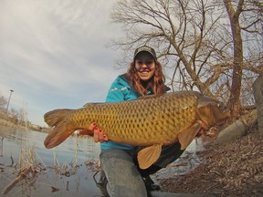 Ashley Rae holds a common carp, caught in the Bay of Quinte. (Matthew Heayn)