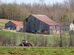 A farmer in the former Sydenham Township east of Owen Sound plows his fields.
