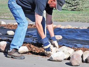 Ken Creed volunteered to help his wife Colleen, a Kinette, along with several others on Saturday, May 4, to complete some landscaping touch-ups to the extension of the Vulcan Kinette walking path, which was completed last year.