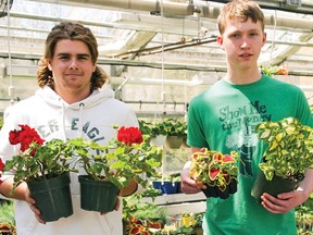 Glendale students Gus Ford (left) and Jack McCormick show off items which will be on offer Saturday, May 11 at the annual Glendale High School Plant Sale (based out of the horticultural building, with parking behind the school). Doors open at 8 a.m. and the sale runs until 1 p.m. AMANDA VERHOEVE/TILLSONBURG NEWS