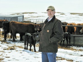 As calving season continues, uncertainty about fall calf and feeder cattle prices has triggered queries about Alberta’s Cattle Price Insurance Program (CPIP), Stuart McKie, Agriculture Financial Services Corporation (AFSC) northern Alberta field analyst, said. He reminded producers that the deadline to sign up for CPIP-Calf coverage this year is May 30.