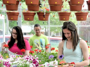 Sophie Farrugia, 15, left, Roper Beaumont, 15, and Amber Chettleburgh, 15, prepare an assortment of flowering plants for the annual Mother's Day plant sale at the John McGregor Secondary School greenhouse Wednesday May 8, 2013 in Chatham, On. (DIANA MARTIN, Chatham Daily News)