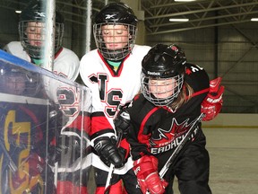 10 year-old Seamus Keith of the NSD Titans is body checked by 11 year-old Danielle Serdachny with the Serdachny Elite during the 2012 Stampede Challenge. Such a hit will now be penalized at the peewee level, after Hockey Alberta announced on Wednesday the abolishment of body-checking at every level of peewee hockey, beginning in the 2013-20914 season.
BRENDAN MILLER/QMI Agency