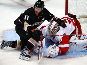 Ducks forward Saku Koivu is called for goaltender interference as he skates into Red Wings goaltender Jimmy Howard during Game 5 of their NHL Western Conference quarterfinal at the Honda Center in Anaheim, May 8, 2013. (MIKE BLAKE/Reuters)
