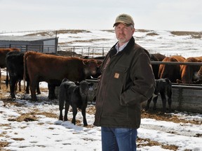 Supplied
Stuart McKie with AFSC  points out the deadline to sign up for CPIP-Calf coverage this year is May 30.