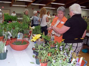 The Tillsonburg Horticultural Society's 7th annual Garden Auction takes place Tuesday, May 14, in the Lions Auditorium at the Tillsonburg Community Centre. The event is the largest fundraiser for the Horticultural Society every year. Doors open at 5:45 pm, and the auction begins at 6:30pm. FILE PHOTO/KRISTINE JEAN