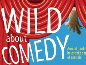 Wild about comedy