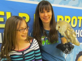 Chloe McCann, 12,  a Grade 6 student at St. Anne Catholic School in Sarnia, meets Sonic the barn owl, being held by Laura Huculak of Earth Rangers, during a presentation Monday at the school. St. Anne's is one of five local schools being visited by the Earth Rangers program that encourages young people to get involved in helping to protect endangered species and their habitat.(PAUL MORDEN/THE OBSERVER/QMI AGENCY)