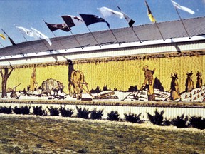 The destruction of a historic corn mural made for the 1979 International Plowing Match in Chatham-Kent has municipal officials asking why proper protocols were not followed. Chatham, On., Tuesday May 14, 2013  DIANA MARTIN/ THE CHATHAM DAILY NEWS/ QMI AGENCY