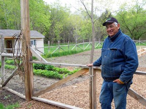 Ray Sorochan, garden plot manager with the Tillsonburg Community Garden has been busy working on the community garden in preparation for the growing season. Plots are expected to be ready and for planting in the next couple of weeks. The community garden will be holding an information night on Wednesday, May 22 at 7 p.m. at the community garden site, rain or shine. For more information, call Ray Sorochan at (519) 842-2372. KRISTINE JEAN/TILLSONBURG NEWS/QMI AGENCY
