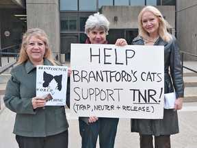 Sherry Seprun (left), Yolanda Kozma and Cathy Norris are were among a group of people taking their concerns about cats to a task force meeting Tuesday at city hall. (BRIAN THOMPSON, The Expositor)