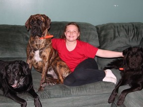 Sara Bernier, grade 4 student at Aileen Wright, presented her idea to open a dog park in Cochrane to town council on May 7. Here she sits with her three furry friends at home Nikki, Hanna and Boo Boo.