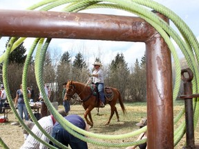 Travis Eklund heads back to rope another during the annual branding at the Wineglass Ranch May 12/13. Close to forty people helped brand over 300 calves.