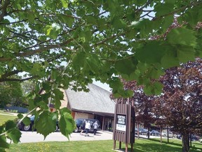 Framed by a canopy of leaves in bloom, guests arrive at Central United Church for the funeral Friday of Ted Blowes, the man often known simply as 'Mr. Stratford'. (SCOTT WISHART, The Beacon Herald)